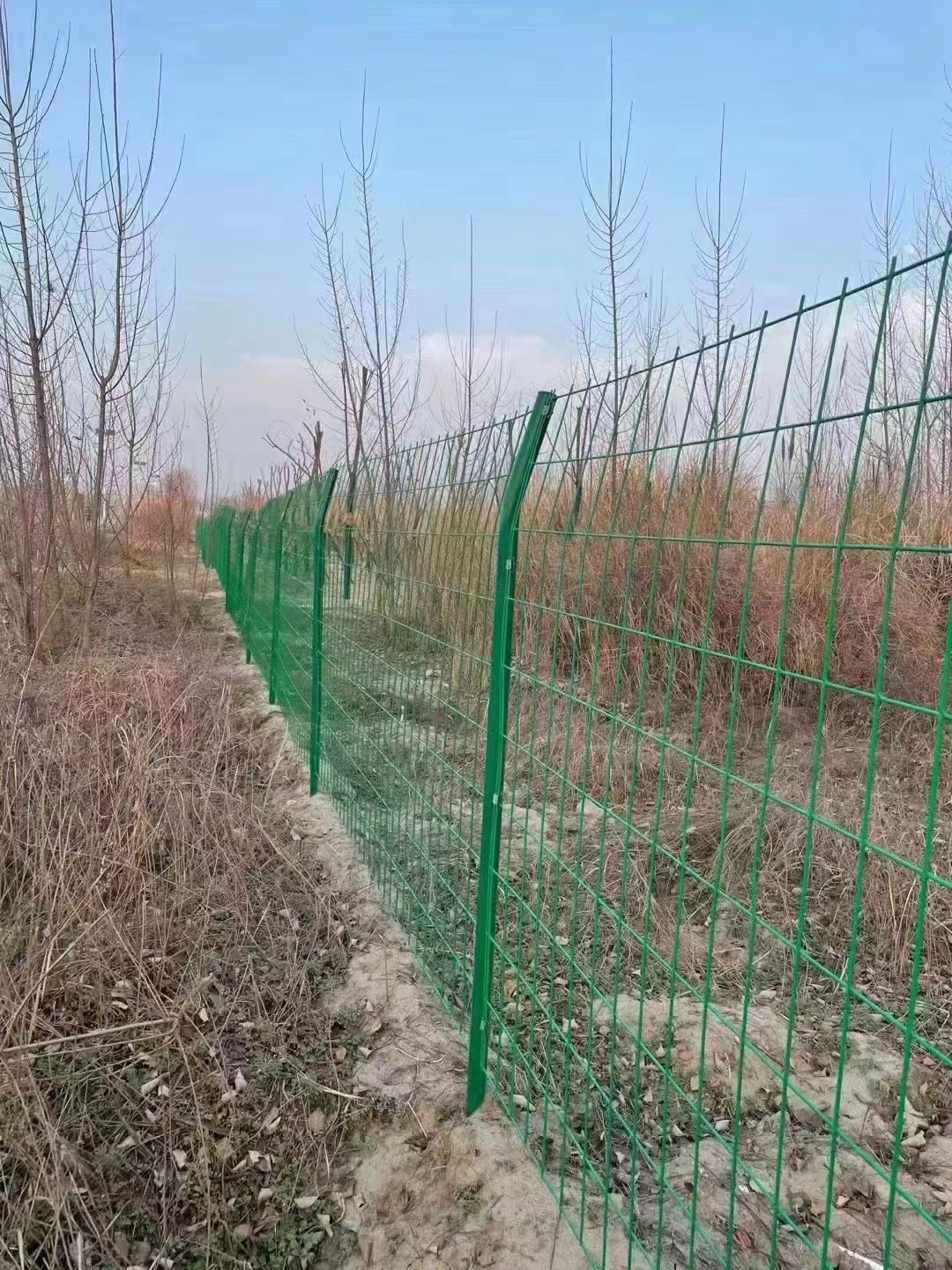 双边丝护栏网
